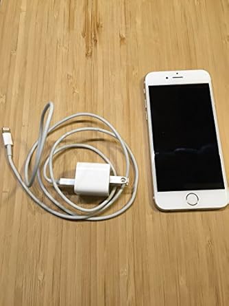 Amazon.com: Program Development and Design Using C++: 9780619216771 ...