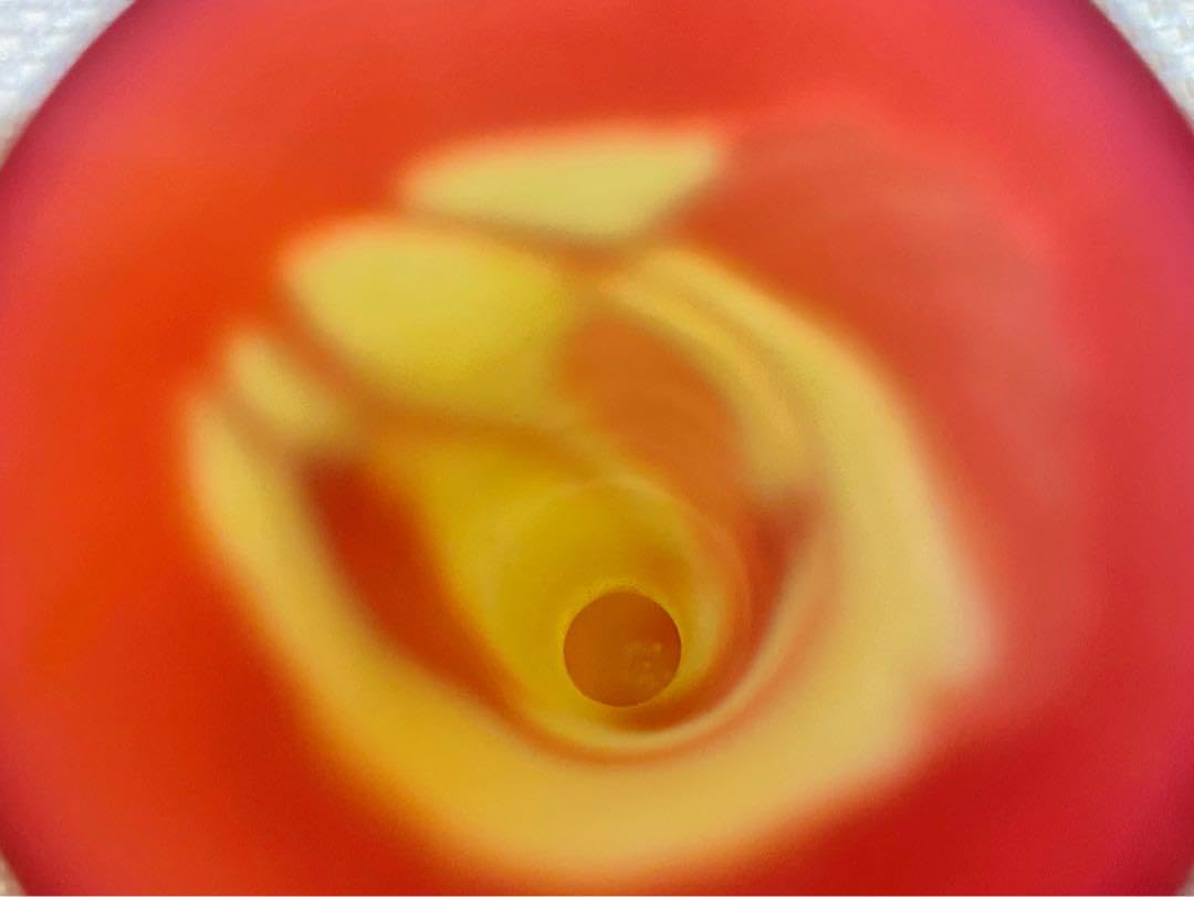 エミール・ガレ スグリ文 花瓶 アンティーク 共箱 木箱 インテリア