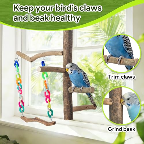 Image of Bird Toys, Bird Swing Toys with Perch Stand, Cage Accessories for Budgies, Parakeets, Cockatiels & Other Small Birds
