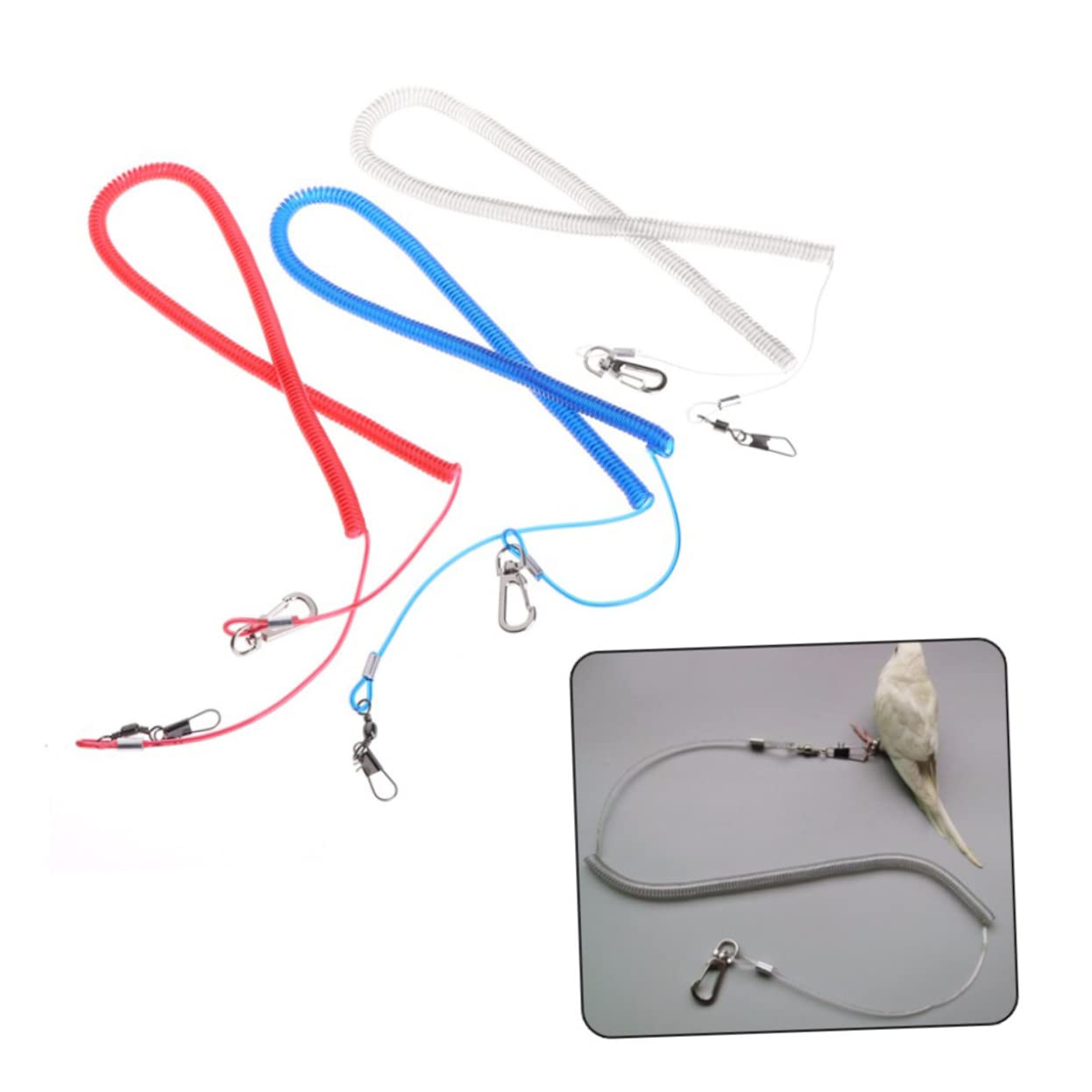 BESPORTBLE Parrot Training Harness Bird Leash Elastic Rope Fly Harness for Parrots Pet Accessory for Outdoor Activities Random Color