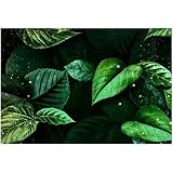 Plante verte toile mur art nature morte feuilles HD affiche impression nordique décor photos salon décor à la maison peinture 70x100cm/27.5 'x39.4' NoFrame