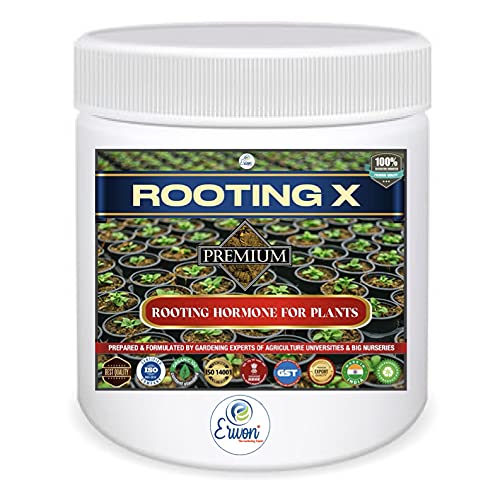 Erwon® Rooting- X, Premium Plants Rooting Hormone, Premium Essential Powerful Rooting Hormone for all Plants (50 gm) (B09GXMKJ2W) Amazon Price History, Amazon Price Tracker