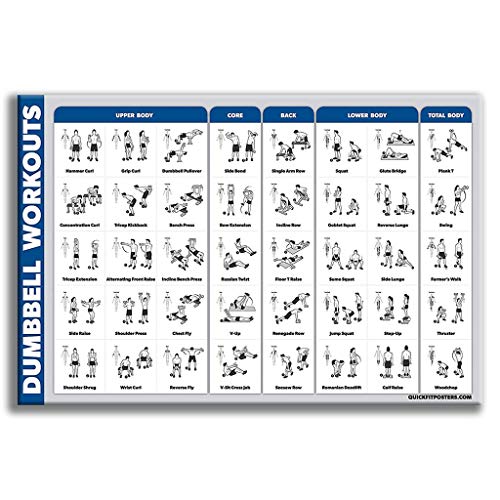 Pster de pelota de ejercicio laminada con mancuernas volumen 2, programa personal de planificacin de fitness  pster de gimnasia suizo, yoga, equilibrio y estabilidad, tonifica tu ncleo, abdominales, glteos de piernas y parte superior del cuerpo