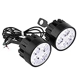 ☆【Duradero, resistente al agua】: La lámpara led para motocicleta está hecha con una carcasa de nailon y una base de aleación de aluminio, que es resistente al agua y al calor, a prueba de golpes y duradera, tiene una larga vida útil.