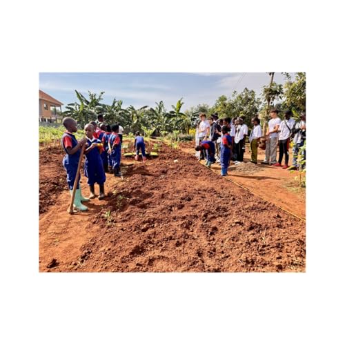 Changing Perceptions: Bridging Community Psychology and Technology in African Agriculture Titelbild