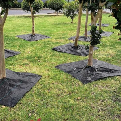 Mantillo de flores y protector KiraKira con 10 alfombrillas 8