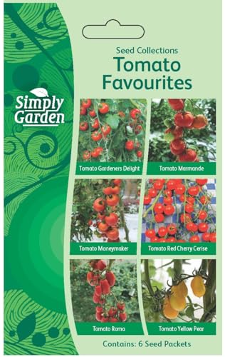 Tomato Seed Pack 6-in-1 Gardeners Delight Marmande Moneymaker Cherry Cerise Roma & Yellow Pear Easy-to-Grow Vegetable Seeds for Garden Patio & Greenhouse