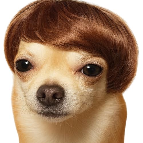 Dog Wig Pet Costumes Cat Costume Synthetic Accessories Small Dog Headwear for Halloween Christmas Eve Festival Party Decor Head Wear Apparel Toy (A)