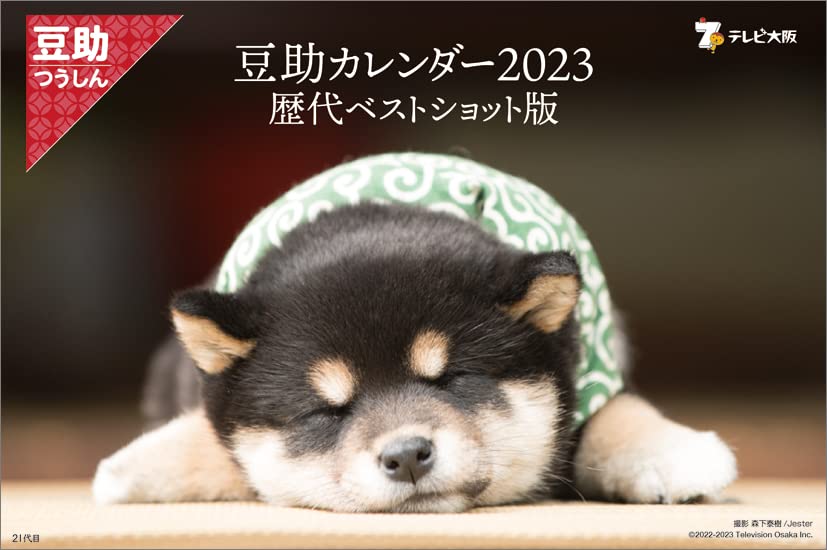 Amazon.co.jp: ハゴロモ 卓上 豆助カレンダー2023 歴代ベストショット
