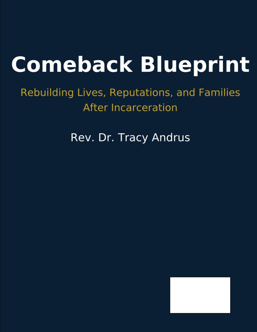 Comeback Blueprint: Rebuilding Lives, Reputations, and Families After Incarceration