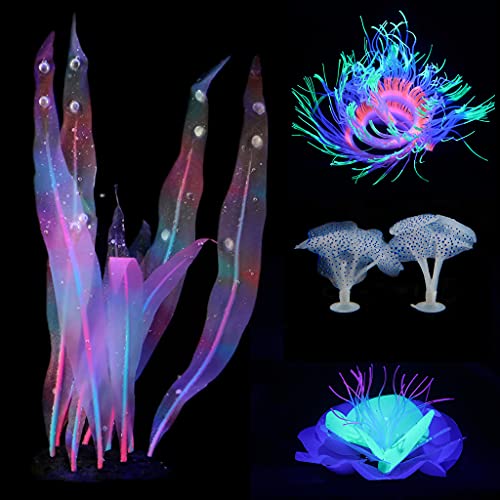 Image of Lpraer 5 Pack Glow Aquarium Decorations Kelp Big Small Anemone Lotus Coral Simulation Glow Plant Glowing Effect Silicone for Fish Tank Decorations