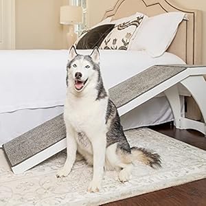 PetSafe-CozyUp-Bed-Ramp-Durable-Wooden-Frame-Supports-up-to-120-lb-Furniture-Grade-Wood-Pet-Ramp-with-White-Finish-High-Traction-Carpet-Surface-Great-for-Older-Dogs-and-Cats Wood Pet Ramp with White Finish
