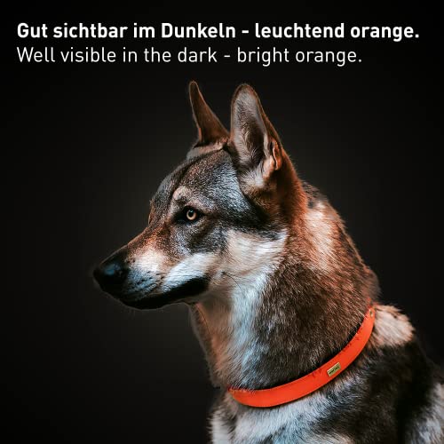 PetTec Halsband für große & kleine Hunde aus Trioflex™ | wetterfest & verstellbar in Farbe | Hundehalsband in Rot, Braun, Schwarz & Leuchtend Orange