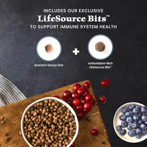 Image of Blue Buffalo Wilderness High Protein Grain Free Dry Food for Adult Cats, 40% Protein, with Chicken, 15 lb. Bag
