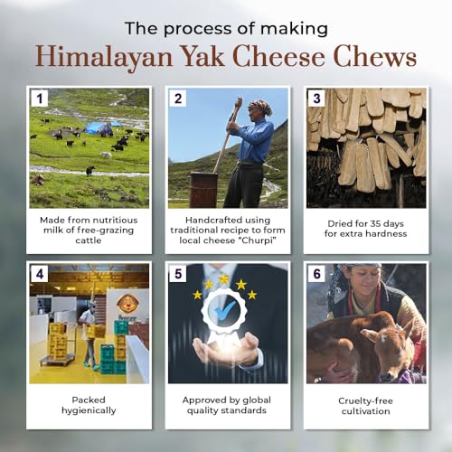 Image of Dogsee Flavored Himalayan Yak Cheese Dental Chews for Dogs 140g (Medium - 2 Chews) | for Healthy Skin & Coat | No Grain, No Gluten | Odorless Dog Treats (Medium, BlackBerry)