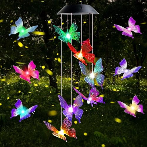 colorantes mariposa colores Marca VVYY8985