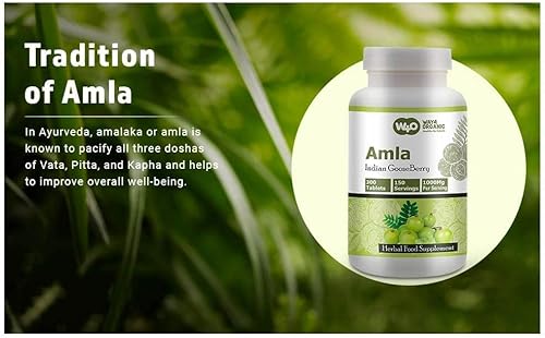 Miniatura 8 de Cápsulas de extracto de fruta Amla (tabletas) - 300 píldoras, 150 porciones, 1000 mg, fruta de amalaki (paquete de 1)