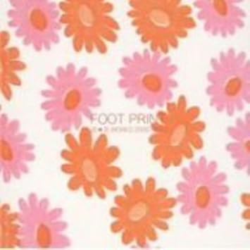 HANAHANA Foot PrintWorks 20002003 Music