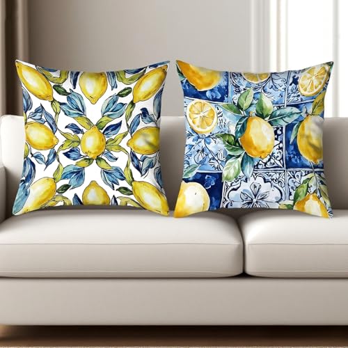 BSITSSS Lot de 2 Housse Coussin 45x45, Citron Fruit Été Housse de Coussin, Fleurs Bleues Housse Taie Oreiller pour Deco Citron Canapé Chambre à Coucher...