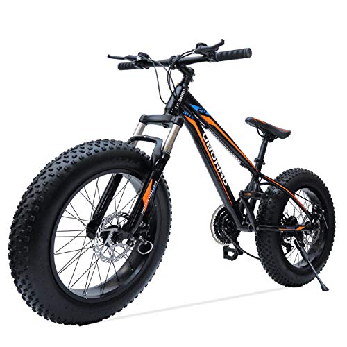 Buy UBOARD 20inch Fat TIRE Boy's Bike 