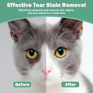 Cutebone pet eye wipes 120 count  gentle and soothing eye cleaning wipes for dogs and cats removes dirt tear stains and debris prevents eye infections natural ingredients safe and easy to use   cucciolini doodles