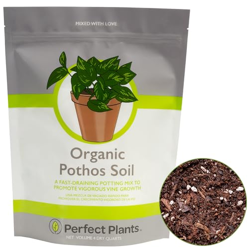 Perfect Plants Organic Pothos Soil