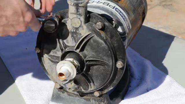 Amazon.com: R0536400 PB4-60 Booster Pump Impeller Pool Parts Fit