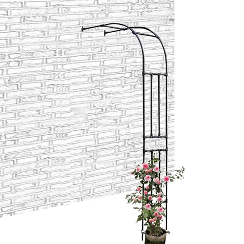 Arche de jardin robuste en métal résistant aux intempéries pour vigne
