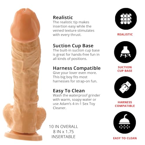 Image of Adam & Eve 10 Inch Realistic Dildo Suction Cup Base for Hands Free Play Thick and Flexible Shaft Lifelike Veins and Balls Strap On Harness Compatible Adult Sex Toy for Women Men and Couples