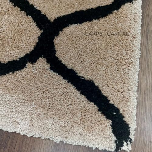 Image of Modern Texture Shag Area Rug Fluffy Microfiber 2inch Pile for Living Room, Bedroom(6x8feet,Beige28)