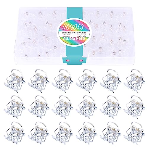 Hoyols Clear Small Hair Clips