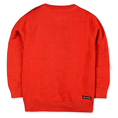 Image of Kids Boys Round Neck Full Pullover Sweater