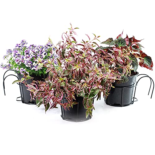 2 Stück Hänge-Blumenkästen Aus Metall Für Balkon & Garten - Runde Geländer-Pflanzkörbe