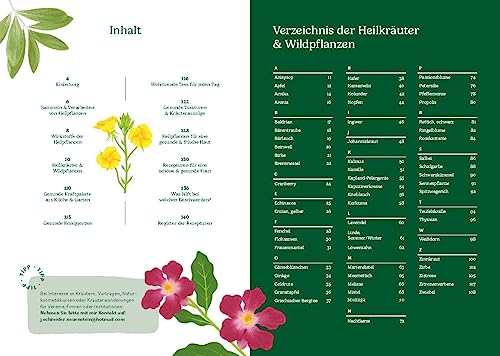 Heilen mit pflanzlichen Antibiotika: Mit 200 Rezepturen für Ihre Gesundheit. Kräutermedizin für starke Abwehrkräfte
