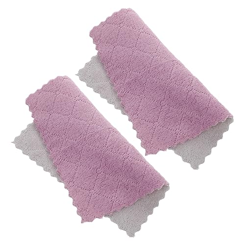 HAMPPLIES 10 Piezas Espesar paño de Plumero Largo Reutilizable Absorbente Trapos para Limpiar la casa hilas Toallas bayeta escurreplatos paño de Plato casero