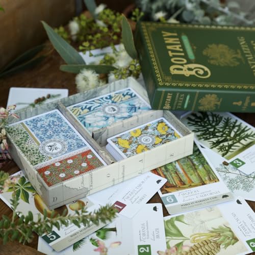 Botany: Tantalizing Trees Expansion miniatura 6