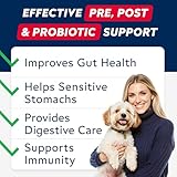 STRELLALAB Advanced Probiotics for Dogs Gut Health with Fibre - Pre, Post & Probiotic Treats - Dogs Digestive Health Sensitive Tums Support - All Breeds & Ages - Dog Probiotics for Gut Health (60 Ct) - Image 2