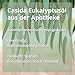Casida® Riechtraining Set mit ätherischen Ölen - Inkl. Anleitung & Trainingsplan - Ideal bei Geruchsverlust