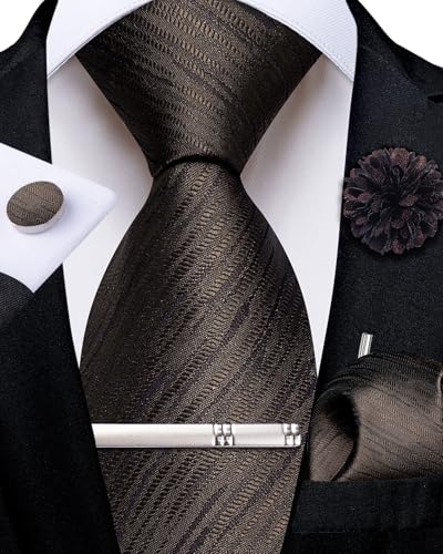 Image of DiBanGu Silk Zipper Ties for Men, Formal Pre-tied Necktie | Adjustable Tie,6PCS,Various Design Styles,Jacquard Woven,Skin-friendly,Practical Gift,Great for Wedding Party,Business Formal