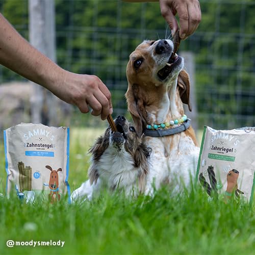 Sammy´s Zahnriegel | Lecker Duftende Kauriegel für Hunde | Zur Unterstützung der Mundhygiene |Getreidefrei| Natürlich|Fettarm| 6 x 250 g