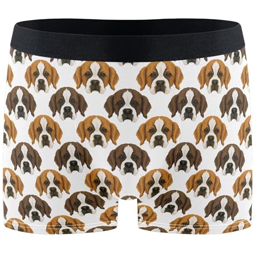 visesunny Men's Underwear Boxer Briefs Funny Soft Breathable Stretch Moisture-Wicking Underpants