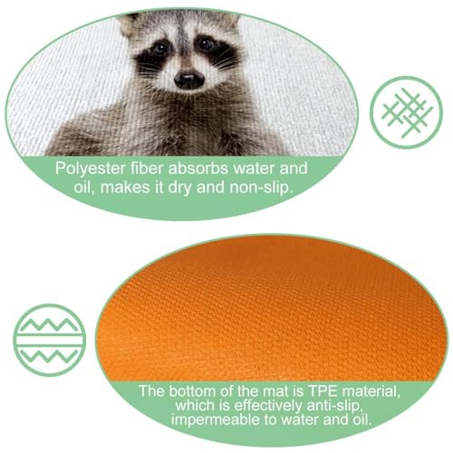 Alfombrillas de cocina de mapache: pack de 2 alfombras lavables y absorbentes 6