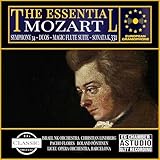  Piano Sonata No. 11 in A, K. 331 - \