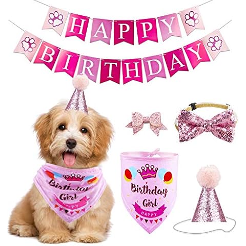 GAGILAND Dog Birthday Party Supplies Bandana Hat Banner Set Boy Girl Cute Bow Tie Scarf Dog Birthday Decorations (Pink，Dog Girl) Cover