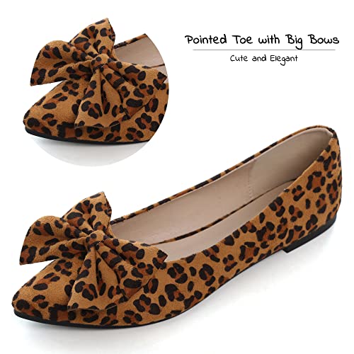 Image of Dear Time Women's Ballet Flats Dress Ballet Shoes Slip on for Office Work Comfortable Shoes