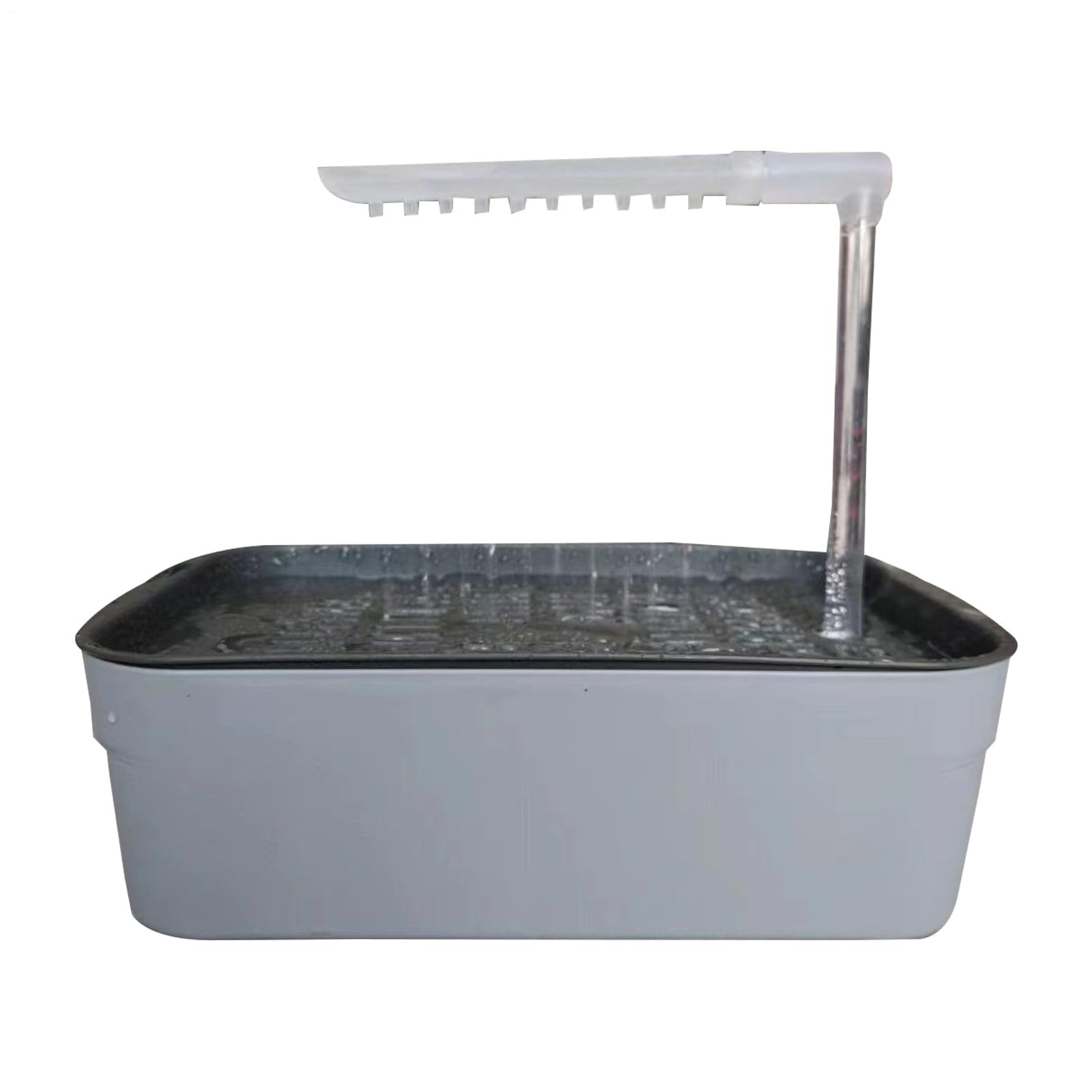 Douche pour perroquet automatique en intérieur, fontaine de bain relaxante pour la cage