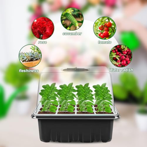 Generisch 10 Stück Zimmergewächshaus Anzuchtkasten, Mini Gewächshaus Klein Anzucht Set Setzling Starter Tabletts Anzuchtschale mit Deckel und Belüftung für Sämling Pflanze Zehn Setzlingskästen