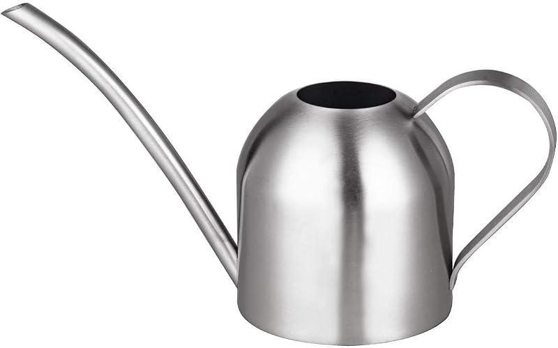 IMEEA Regadera de Interior para Plantas de Interior Regadera de Acero Inoxidable Cepillado de 1 L con Boquilla Larga para Suculentas, Bonsai