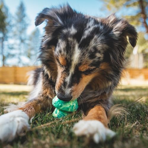 RUFFWEAR Toadstool Dog Toy, Interactive Dog Chew Toy, Pet Safe Dog Treats Dispenser Ball - Image 4