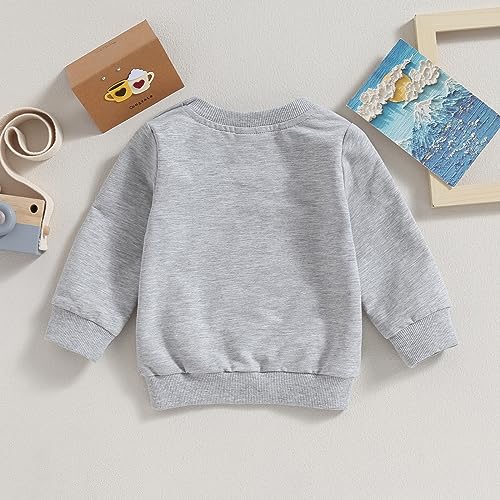 toddler baby boy girl long sleeve crewneck pullover sweatshirt sweater outfits solid color casual clothes